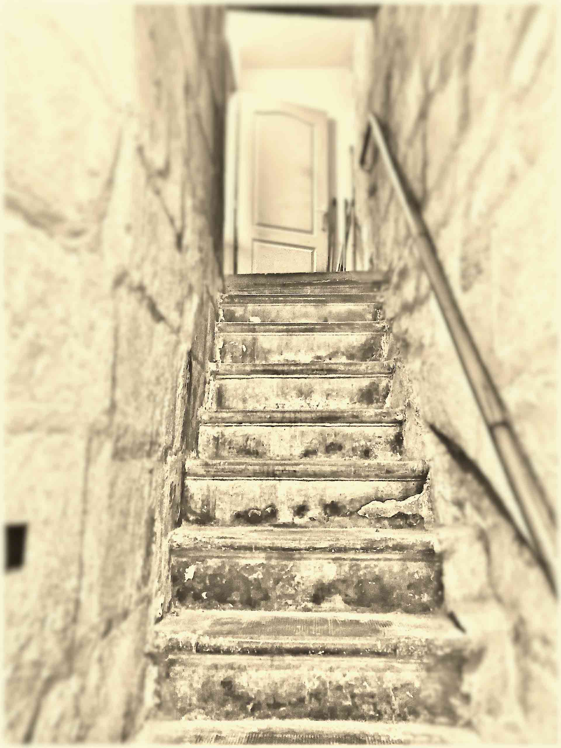Le logis des curiosités : escalier