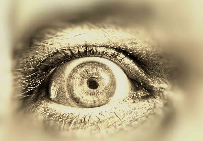 Le logis des curiosités : oeil
